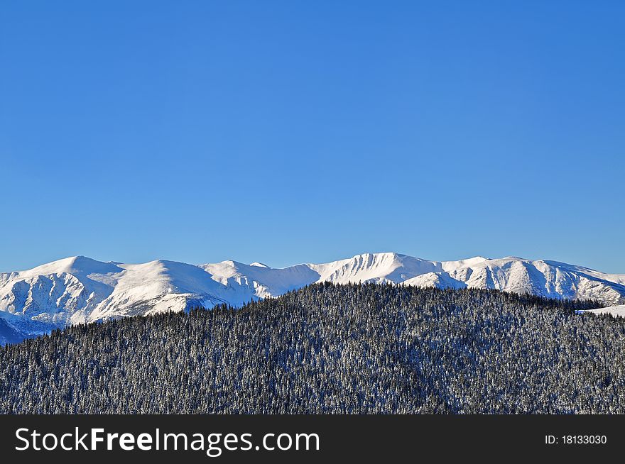 Winter on a hillside in a landscape under the dark blue sky. Winter on a hillside in a landscape under the dark blue sky