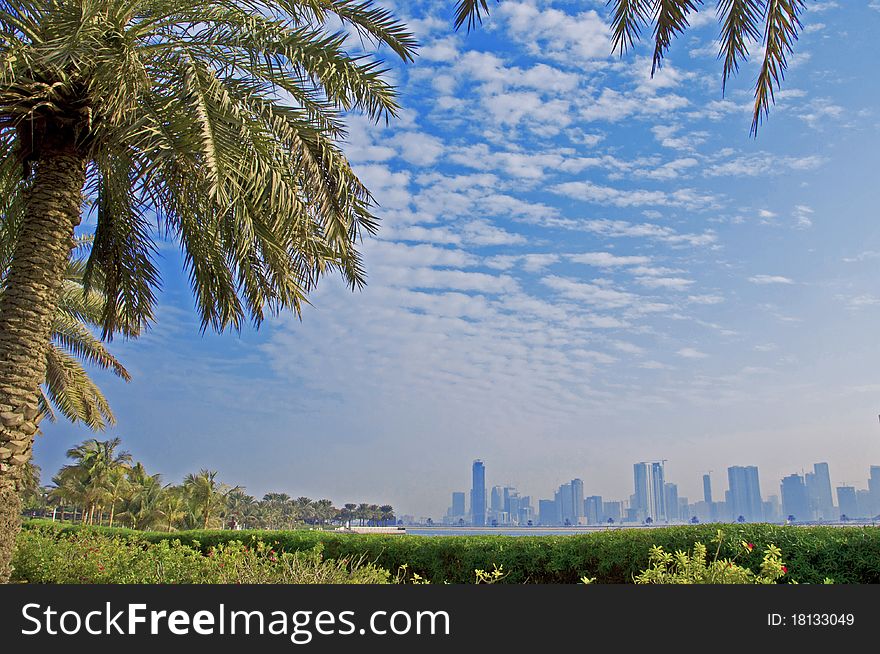 View on the Dubai with clouds in the sky and a palm tree growing at the left. View on the Dubai with clouds in the sky and a palm tree growing at the left