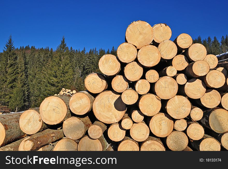 Wood preparation in a winter landscape under the dark blue sky