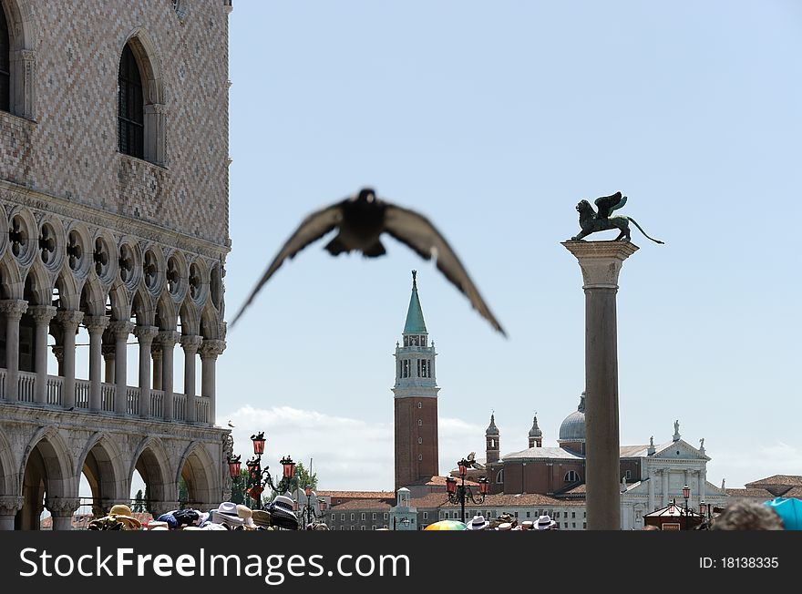 St Mark square in Venice with a pigeon in flight