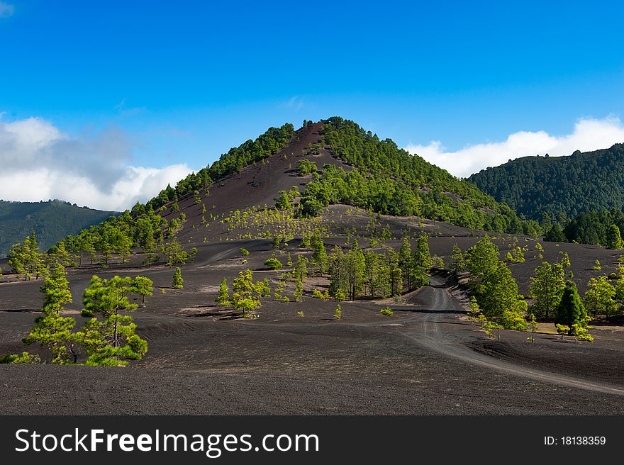 Beautiful lava landscape on the Cumbre Nueva in La Palma, Canary islands, Spain. Beautiful lava landscape on the Cumbre Nueva in La Palma, Canary islands, Spain