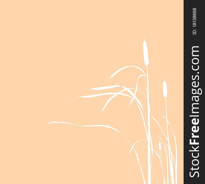 Vector silhouette of the reed isolated on brown background
