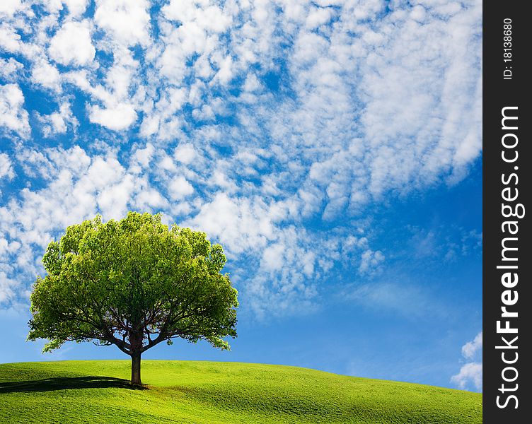 Tree on hill under blue sky with clouds. Tree on hill under blue sky with clouds