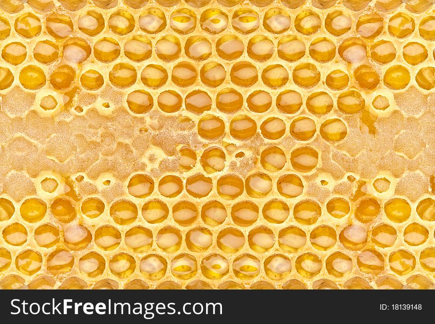 Fresh honeycom texture close up. Fresh honeycom texture close up