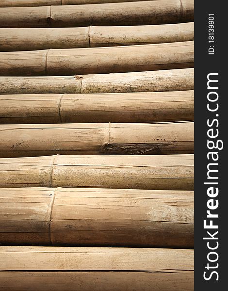 Many of bamboo logs texture. Many of bamboo logs texture.