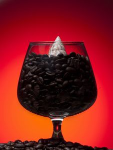 Glass And Coffee Beans Inside With Sea Shell Stock Image Glass And Coffee Beans Inside With Sea Shell Stock Image