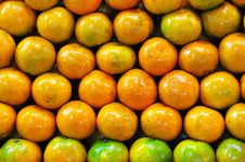 Orange Fruit Royalty Free Stock Photography Orange Fruit Royalty Free Stock Photography