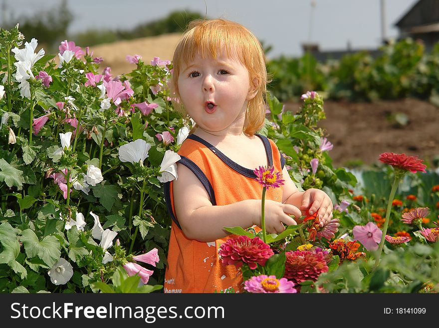 The little girl in a thicket of flowers