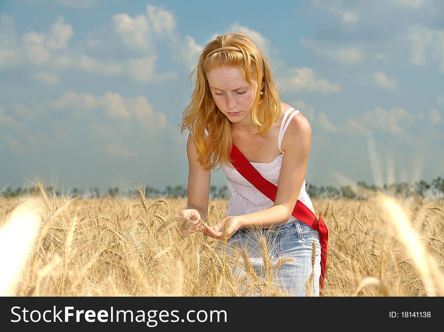 Young agronomist examines the maturity of the wheat harvest. Young agronomist examines the maturity of the wheat harvest