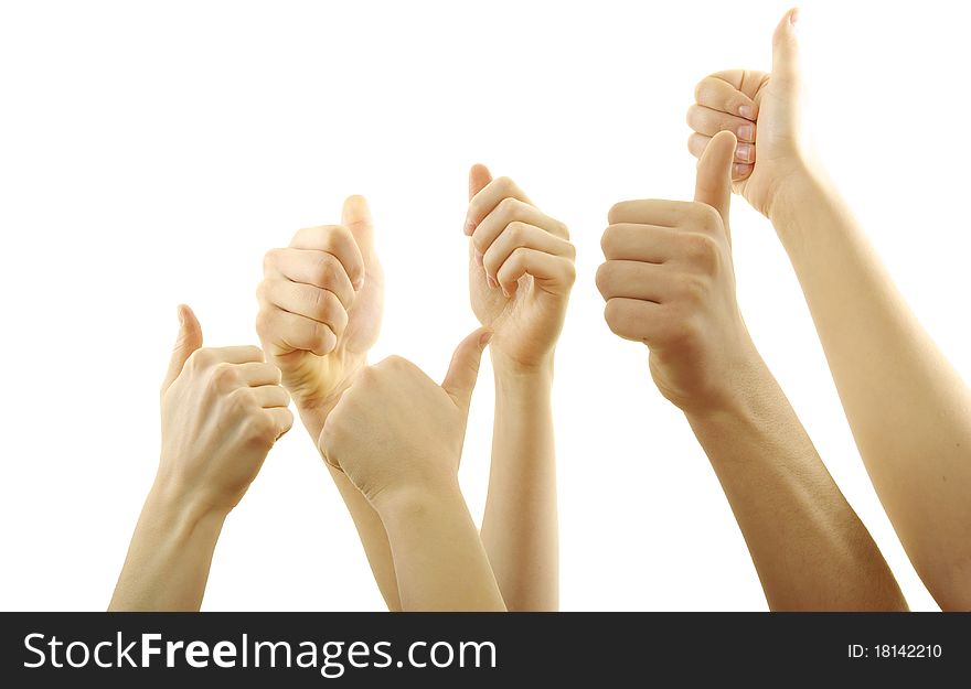 Many hand lifted up on white background. Many hand lifted up on white background