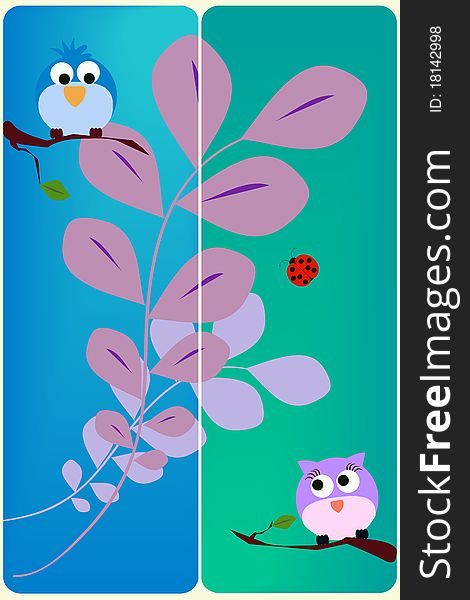 Bird Card