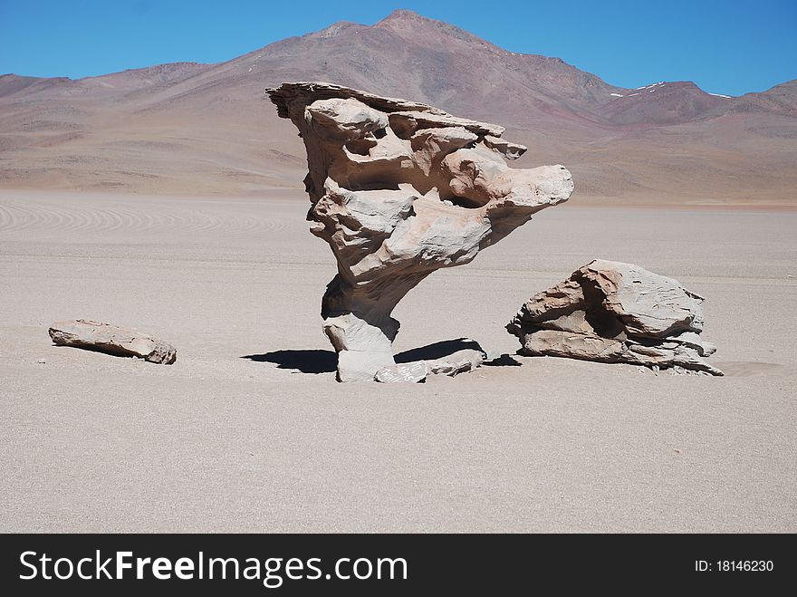 Tree of Stone, in the Bolivian desert. Tree of Stone, in the Bolivian desert