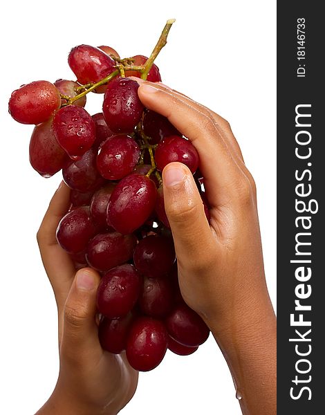 Hands picking grapes on white background