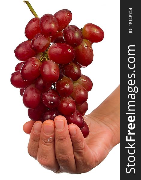 Hands Holding Grapes