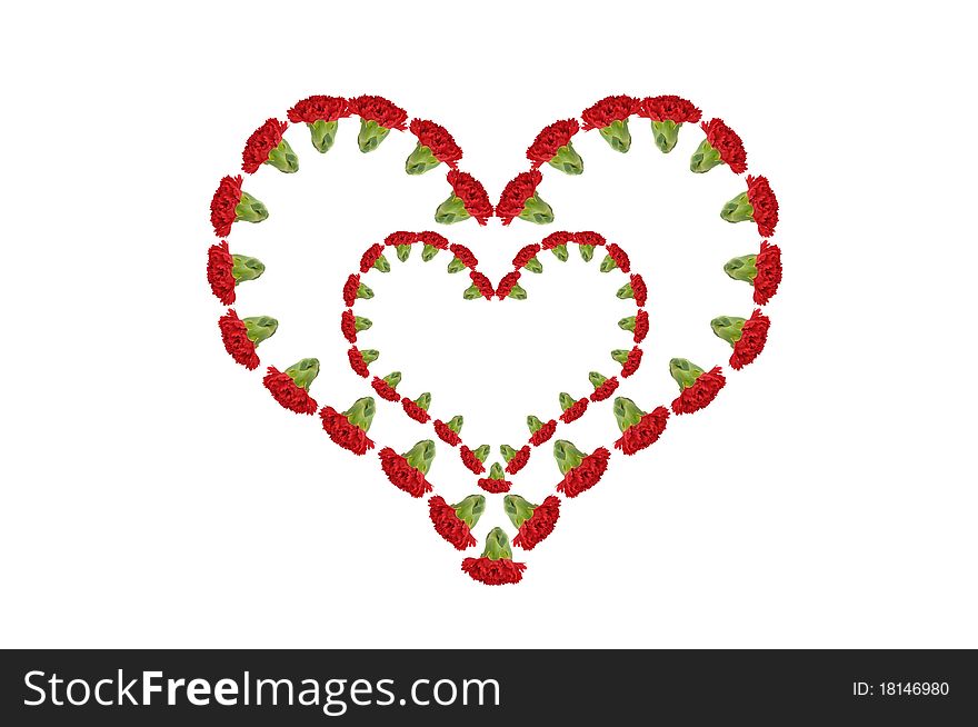 Red Carnation Heart, romantic and valentine. Red Carnation Heart, romantic and valentine