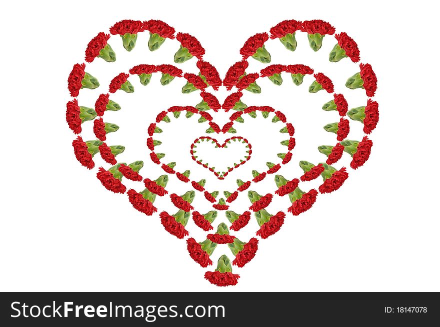 Red Carnation Heart, romantic and valentine. Red Carnation Heart, romantic and valentine