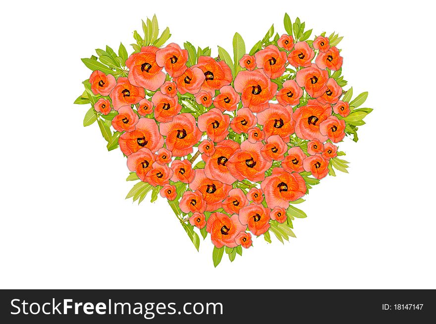 Orange Flower Heart, Valentine Day