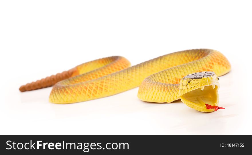 Toy snake on a white background