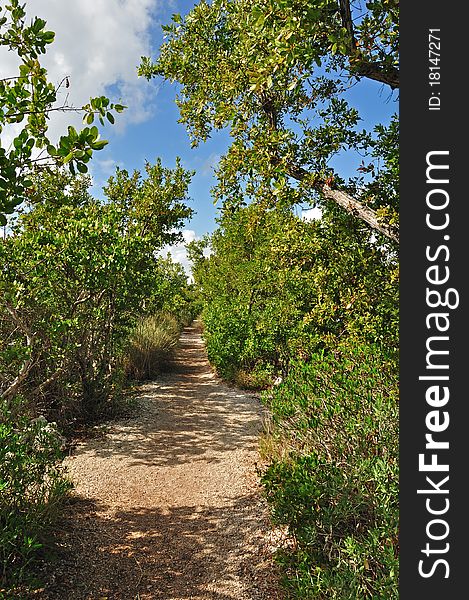 A small walking trail in between tropical plants in Biscayne National Park, Florida. A small walking trail in between tropical plants in Biscayne National Park, Florida