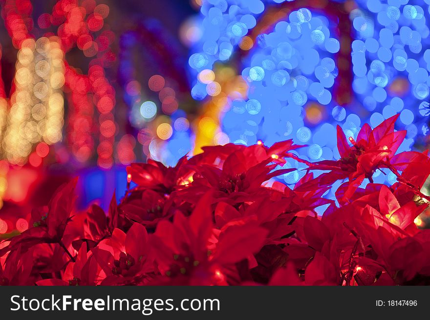 Red flowers with boke of christmas tree