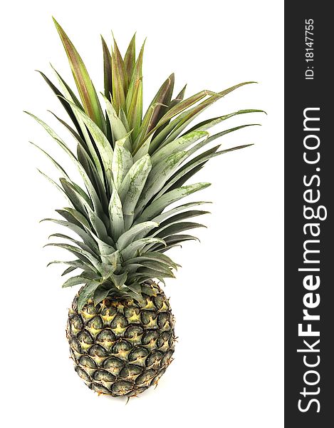 Pineapple Isolated on White background.