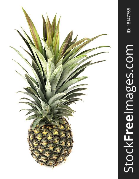 Pineapple