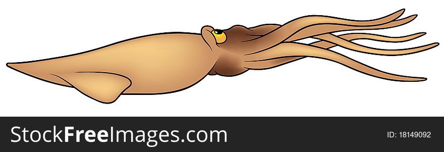 Cuttlefish - colored cartoon illustration,