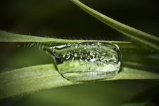 Water Drop In The Nature Royalty Free Stock Images