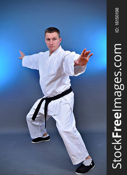 Punch.shock.figure in the karate fighting stance