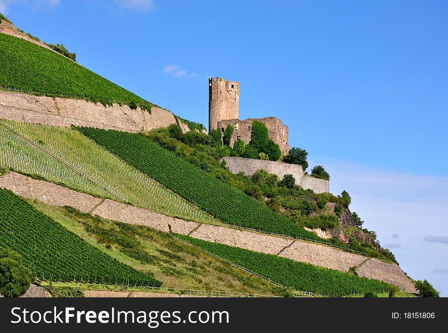 The old ruined castle on a hillside along the banks of the River Rhine in Germany, around the castle on the slopes grow many vineyards. The old ruined castle on a hillside along the banks of the River Rhine in Germany, around the castle on the slopes grow many vineyards.