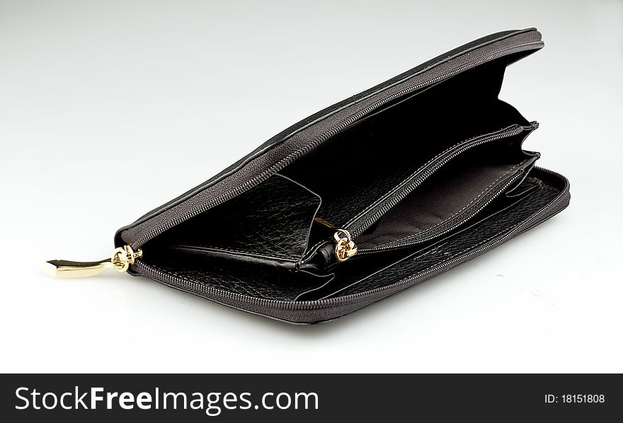 Purse for the coins and documents