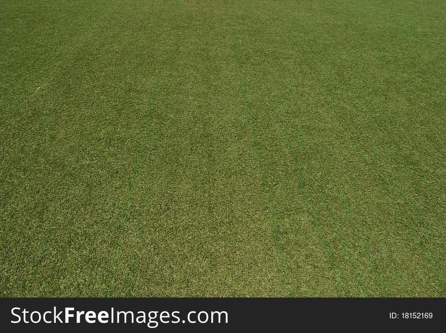 Playgrounds with grass. Filmed at an angle of 45 degrees, for any use