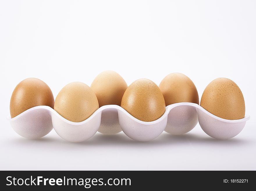 Fresh Eggs