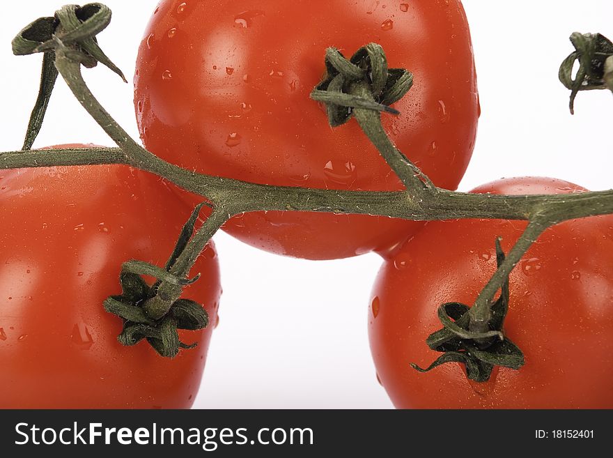 Close-up, fresh, young, tomatoes on white background. Close-up, fresh, young, tomatoes on white background