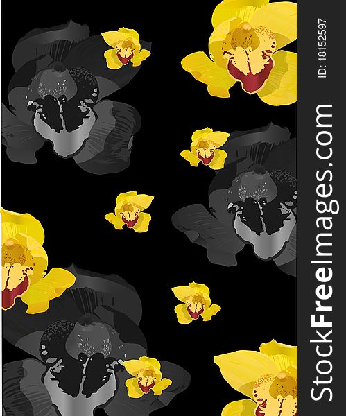 Illustration with yellow orchid flowers on black background. Illustration with yellow orchid flowers on black background