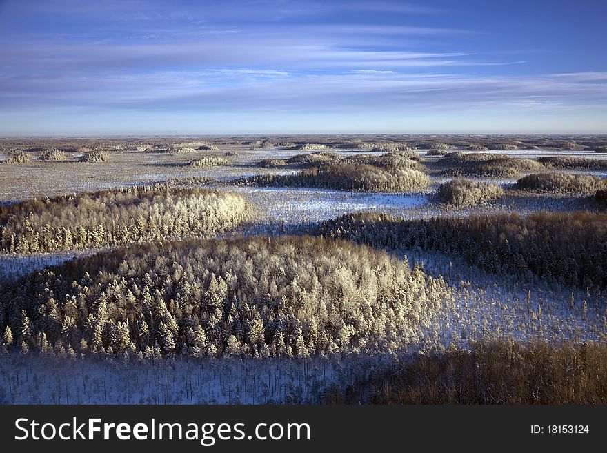 Top view of snow-covered a groves in a clear and frosty day.