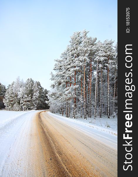 A winter road, just after the snowfall