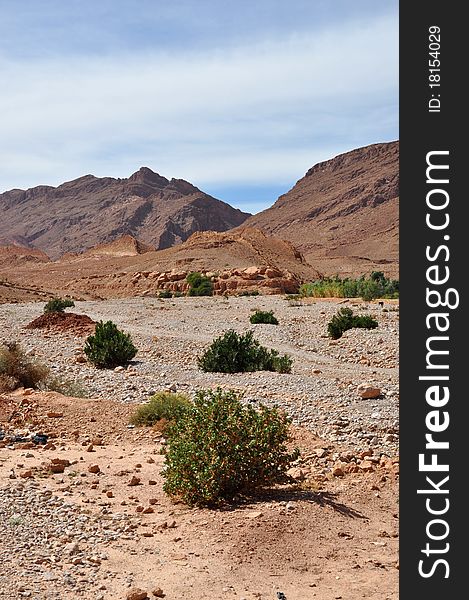 Dry river canyon in Todra Gorge