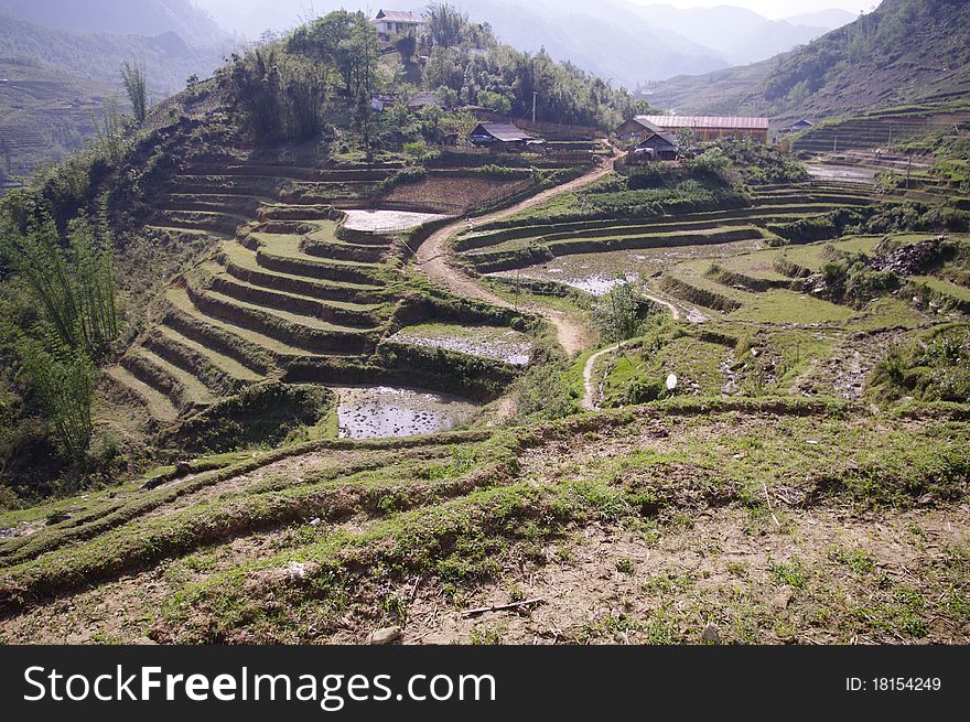 Rice fields occupy much space in the mountains