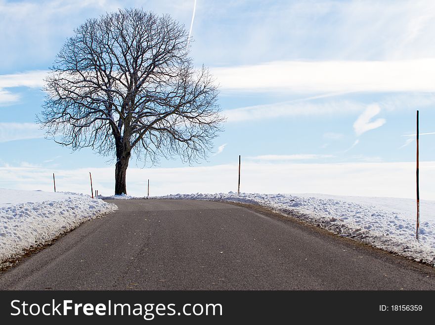 Country road in winter with tree, Bavaria, Germany