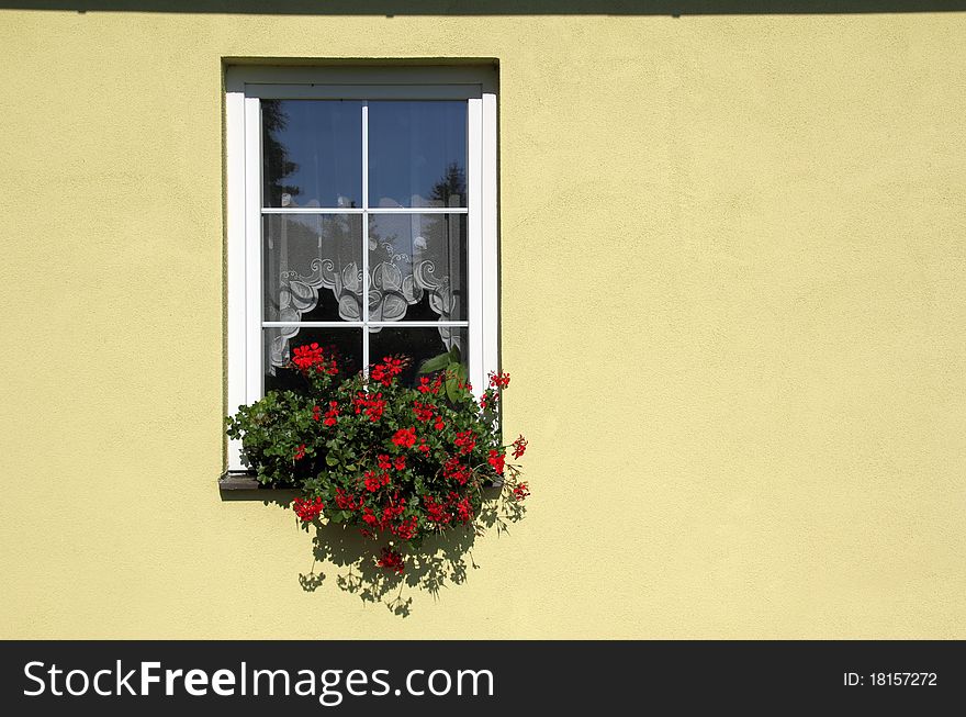 A detail of a window with flowers. A detail of a window with flowers