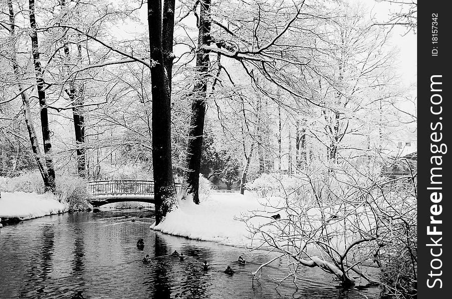 Park with a water course and bridge over it. Park with a water course and bridge over it.