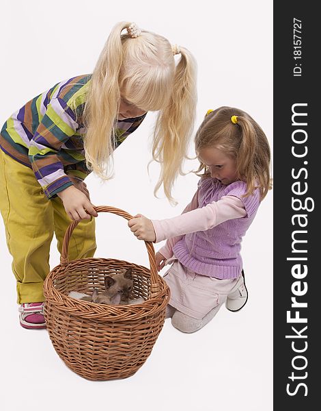 Little cute caucasian blond girls playing with Burmese cats standing isolated over white background and keeping animals in the big wicker basket. Little cute caucasian blond girls playing with Burmese cats standing isolated over white background and keeping animals in the big wicker basket