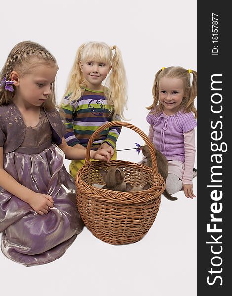 Little cute caucasian blond girls playing with Burmese cats standing isolated over white background and keeping animals in the big wicker basket. Little cute caucasian blond girls playing with Burmese cats standing isolated over white background and keeping animals in the big wicker basket