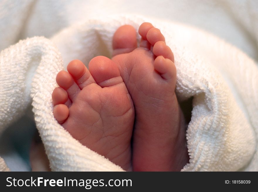 Feets of a newborn baby. Feets of a newborn baby