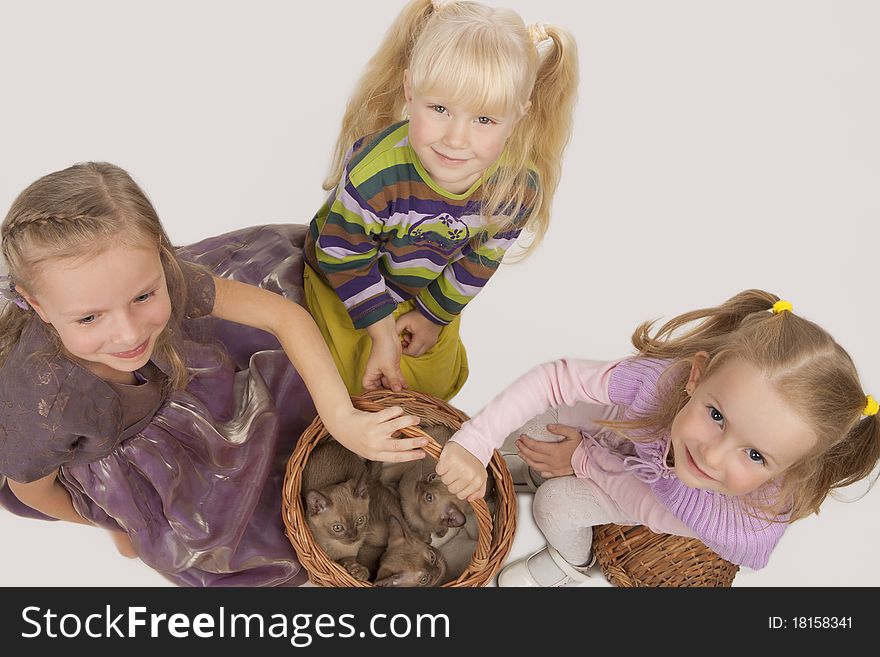 Little cute caucasian blond girls playing with Burmese cats standing isolated over white background and keeping animals in the big wicker basket. Little cute caucasian blond girls playing with Burmese cats standing isolated over white background and keeping animals in the big wicker basket