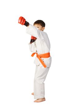 Aikido Boy.Martial Arts Stock Photo Aikido Boy.Martial Arts Stock Photo