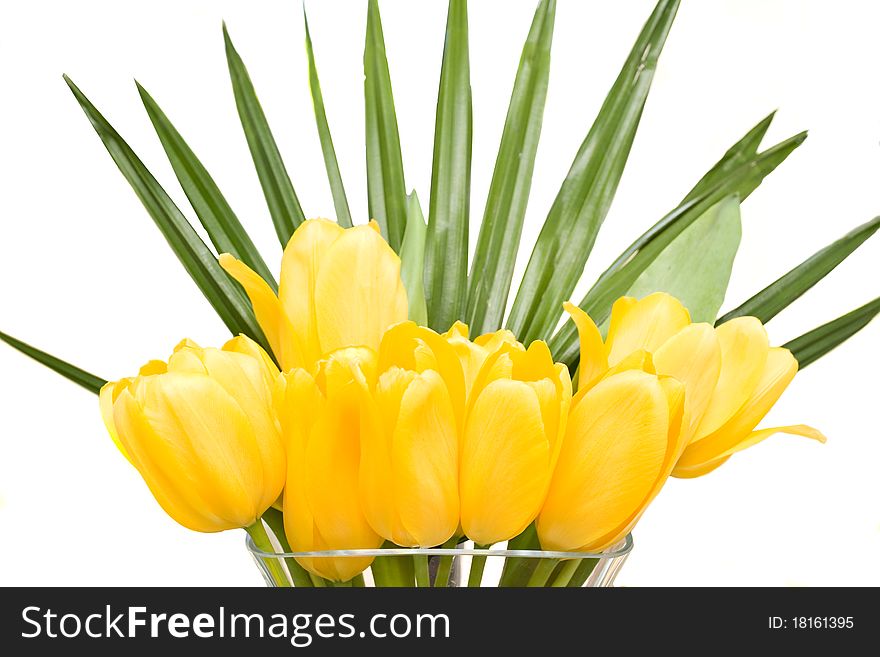 Yellow Tulips in a Vase