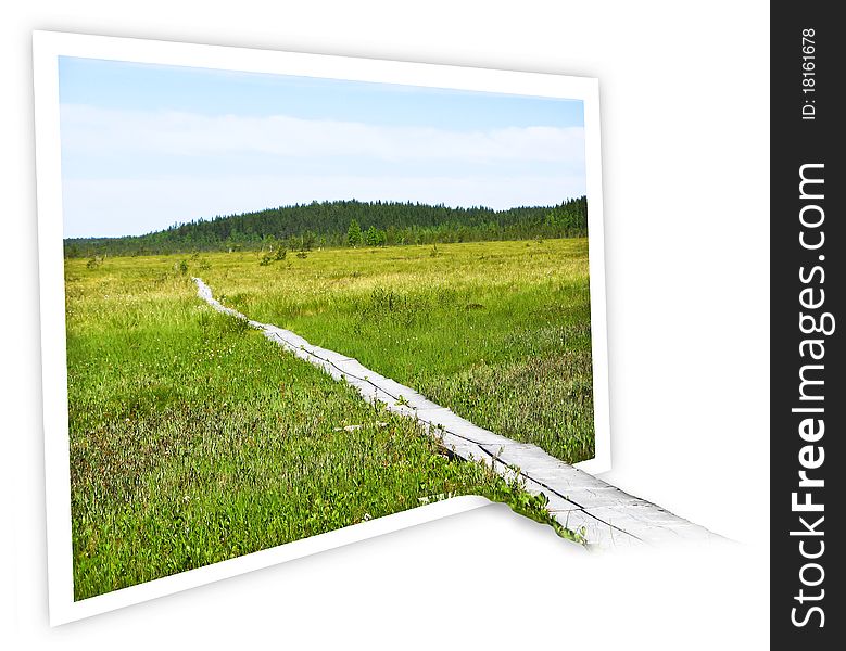 Duckboards on treeless swamp with out of boundary 3D effect. Isolated on white with clipping path included. Duckboards on treeless swamp with out of boundary 3D effect. Isolated on white with clipping path included