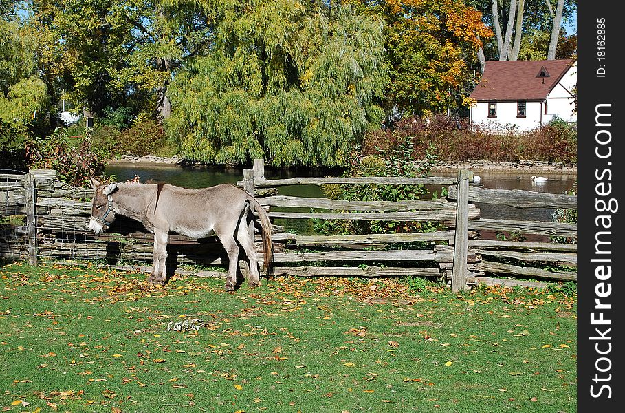 Autumn rural scene, Ontario, Canada. Autumn rural scene, Ontario, Canada